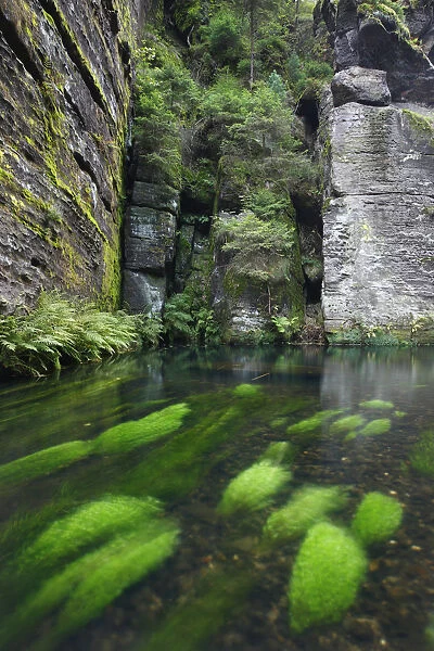 Krinice River flowing past rock faces almost at right angles, Dlouhy Dul, Ceske Svycarsko