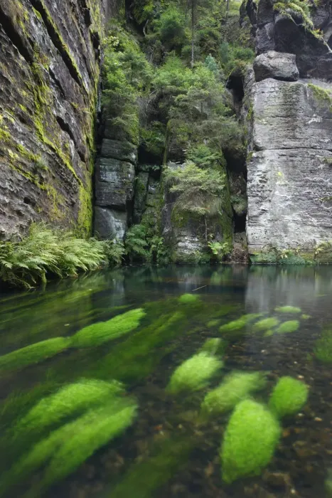 Framed Print : Krinice River flowing past rock faces almost at right angles, Dlouhy Dul, Ceske Svycarsko Framed Print : Krinice River flowing past rock faces almost at right angles, Dlouhy Dul, Ceske Svycarsko