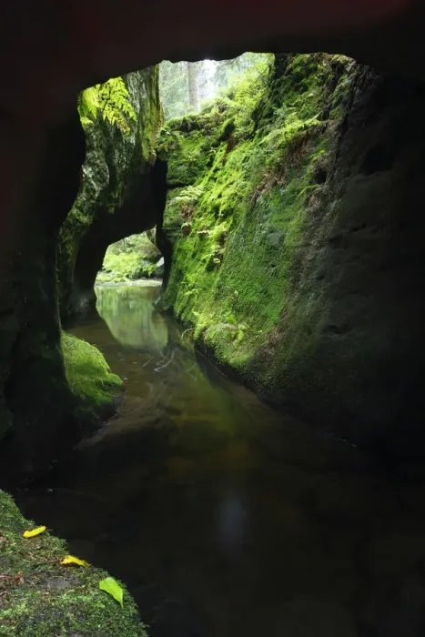 Framed Print : Krinice River flowing through tunnel formed by rocks, Kyov, Ceske Svycarsko / Bohemian Framed Print : Krinice River flowing through tunnel formed by rocks, Kyov, Ceske Svycarsko / Bohemian