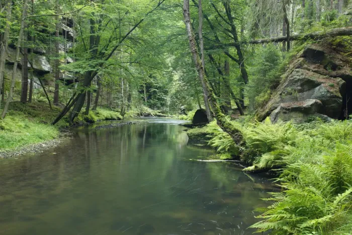Framed Print : Krinice River flowing through wood with large rocks, Dlouhy Dul, Ceske Svycarsko