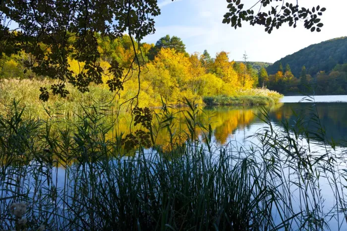 Framed Print : Lake with forest reflected in surface, Plitvice Lakes National Park, Lika, Croatia Framed Print : Lake with forest reflected in surface, Plitvice Lakes National Park, Lika, Croatia