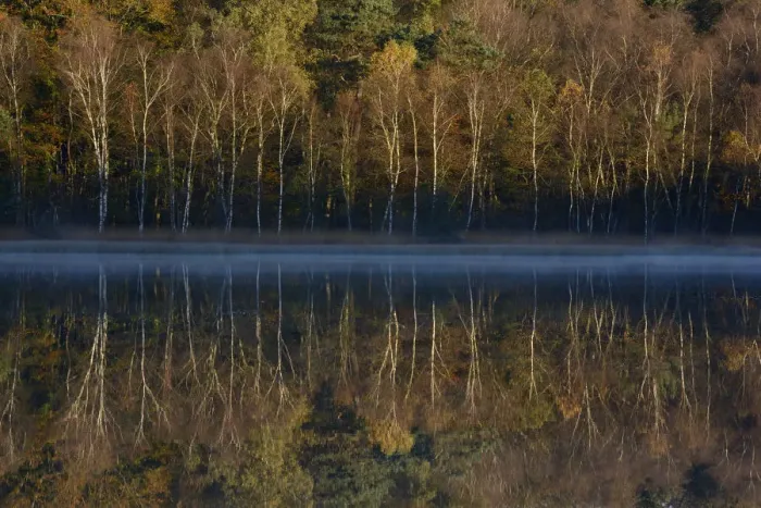 Framed Print : Lake reflecting autumn trees, Vosges, France, October 2013