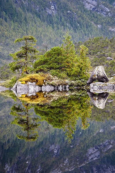 Lake surrounded by temperate rainforest, Campania Island, Great Bear Rainforest, British Columbia