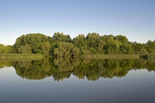 Lake Tisza with reflections in water, Hortobagy National Park, Hungary, May 2009
