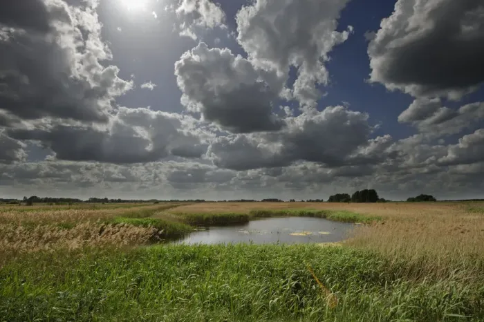 Framed Print : Lakenheath Fen RSPB Reserve, Suffolk, UK, May 2011 Framed Print : Lakenheath Fen RSPB Reserve, Suffolk, UK, May 2011