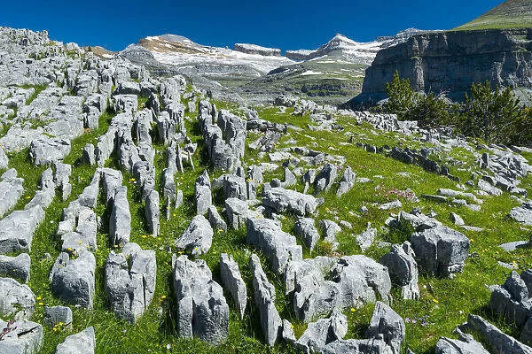Landscape with limestone pavement, Ordesa y Monte Perdido National Park, Aragon, Spain