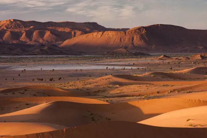 Framed Print : Landscape showing diversity of Saharan ecosystem, Sahara desert