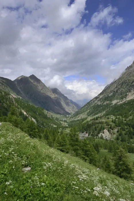 Framed Print : Landscape of Vallee de Sant Anna, Maritime Alps, Italy, July 2014 Framed Print : Landscape of Vallee de Sant Anna, Maritime Alps, Italy, July 2014