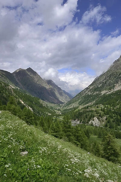 Landscape of Vallee de Sant Anna, Maritime Alps, Italy, July 2014