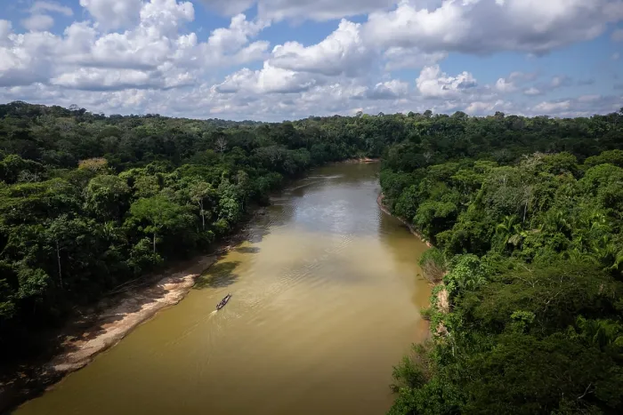 Framed Print : Las Piedras river, Madre de dios, Amazon rainforest, Peru. June, 2024 Framed Print : Las Piedras river, Madre de dios, Amazon rainforest, Peru. June, 2024