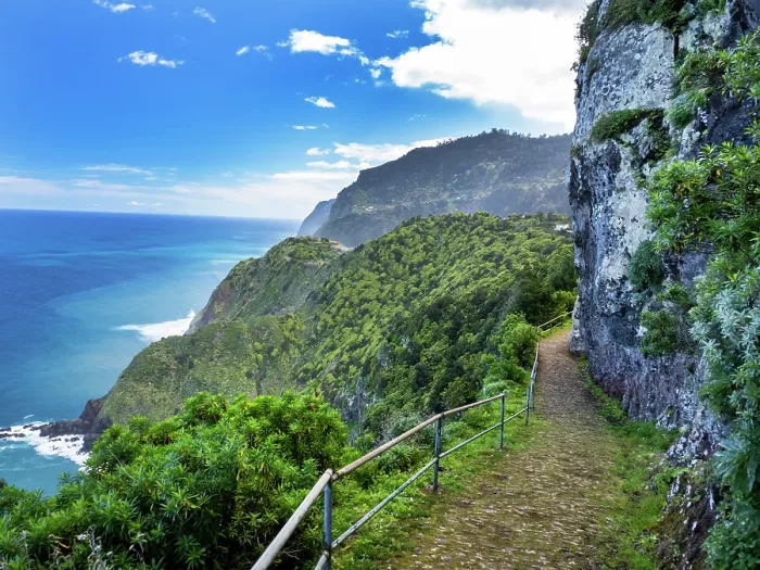 Framed Print : Laurel (Laurus nobilis) trees covering cliffs with steep mountain footpath along coast, Boa Ventura, Madeira. March Framed Print : Laurel (Laurus nobilis) trees covering cliffs with steep mountain footpath along coast, Boa Ventura, Madeira. March