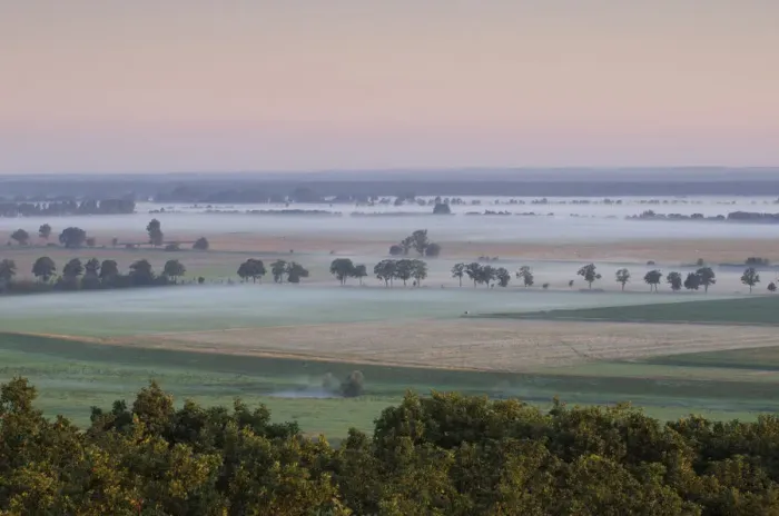 Framed Print : Lenzer Wische with light low lying mist at dawn, Elbe Biosphere Reserve, Lower Saxony Framed Print : Lenzer Wische with light low lying mist at dawn, Elbe Biosphere Reserve, Lower Saxony