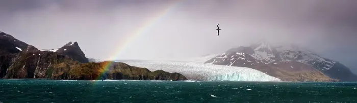 Framed Print : Light-mantled Sooty Albatross (Phoebetria palpebrata) flying over Fortuna Glacier with rainbow, Fortuna Bay, South Georgia. January 2010. (digitally stitched image) Framed Print : Light-mantled Sooty Albatross (Phoebetria palpebrata) flying over Fortuna Glacier with rainbow, Fortuna Bay, South Georgia. January 2010. (digitally stitched image)
