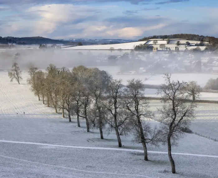 Framed Print : Line of trees at Milborne Port in snow and mist, Somerset, England, UK. January 2021 Framed Print : Line of trees at Milborne Port in snow and mist, Somerset, England, UK. January 2021