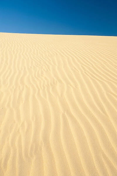 Little Sahara dunes, Seal Bay Conservation Park, Kangaroo Island, South Australia State