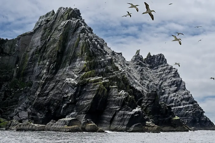 Framed Print : Little Skellig Island with Northern gannets (Morus bassanus) breeding colony on cliffs, County Kerry, Republic of Ireland. June Framed Print : Little Skellig Island with Northern gannets (Morus bassanus) breeding colony on cliffs, County Kerry, Republic of Ireland. June