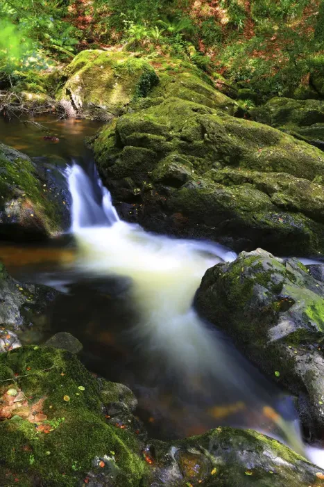 Framed Print : Long exposure of a Dartmoor stream, Devon, England, UK, August Framed Print : Long exposure of a Dartmoor stream, Devon, England, UK, August