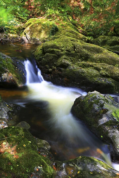 Long exposure of a Dartmoor stream, Devon, England, UK, August