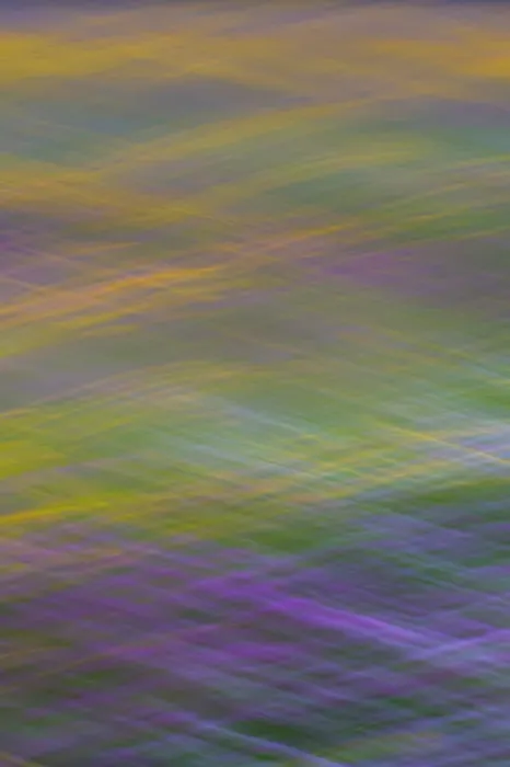 Framed Print : Long exposure with panning of field of wild flowers in traditional hay meadow Framed Print : Long exposure with panning of field of wild flowers in traditional hay meadow