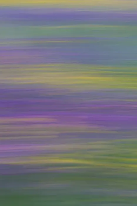 Framed Print : Long exposure with panning of field of wild flowers in traditional hay meadow Framed Print : Long exposure with panning of field of wild flowers in traditional hay meadow