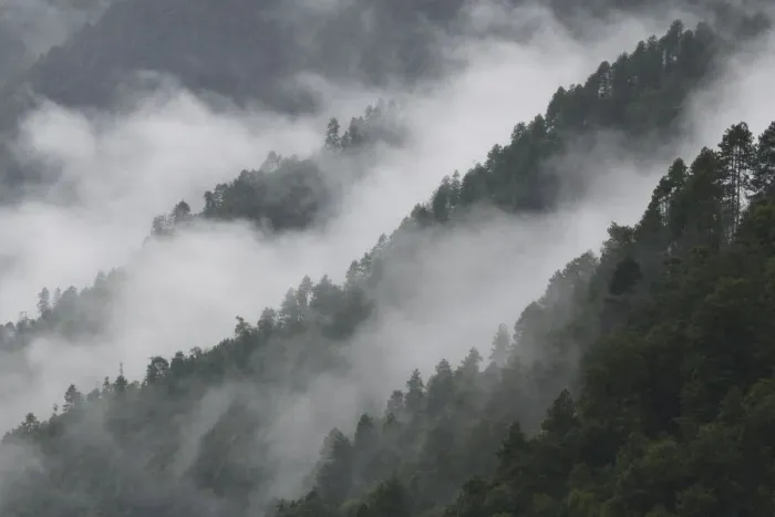 Framed Print : Low lying morning mist over forested mountains, at Ta Cheng Nature reserve, Yunnan Framed Print : Low lying morning mist over forested mountains, at Ta Cheng Nature reserve, Yunnan