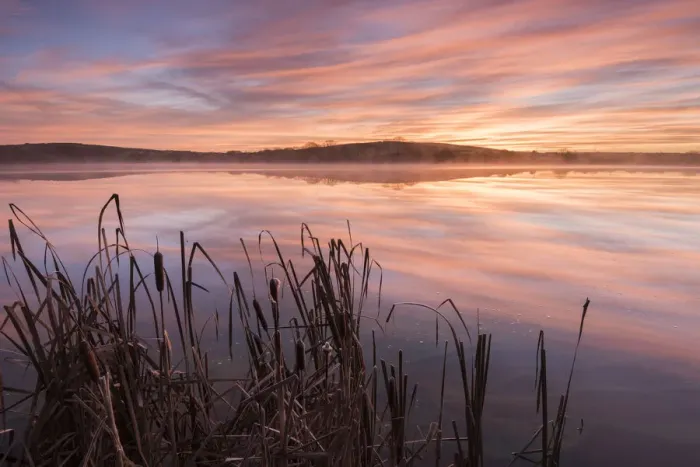 Framed Print : Lower Tamar Lake and reeds at sunrise, North Cornwall, UK. November 2014 Framed Print : Lower Tamar Lake and reeds at sunrise, North Cornwall, UK. November 2014