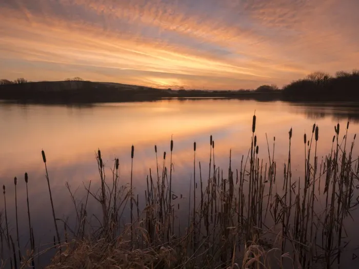 Framed Print : Lower Tamar Lakes, reflections and rushes, colurful winter sunrise, North Cornwall, UK Framed Print : Lower Tamar Lakes, reflections and rushes, colurful winter sunrise, North Cornwall, UK