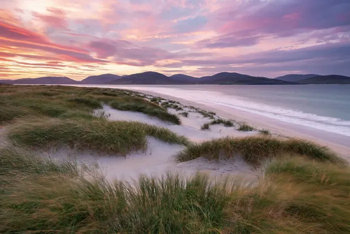 Framed Print : Luskentyre beach / sands, marram grasses and early morning sunlight, Isle of Harris, Outer Hebrides, Scotland, UK. October 2018 Framed Print : Luskentyre beach / sands, marram grasses and early morning sunlight, Isle of Harris, Outer Hebrides, Scotland, UK. October 2018