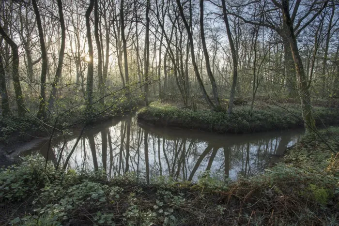 Framed Print : Meander in small rivulet, Groot Schietveld, Wuustwezel, Belgium, April 2017