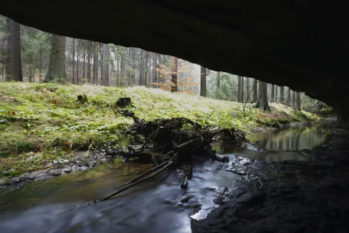 Framed Print : Mezni Potok / Stream flowing under a rock, Rynartice, Ceske Svycarsko / Bohemian Framed Print : Mezni Potok / Stream flowing under a rock, Rynartice, Ceske Svycarsko / Bohemian
