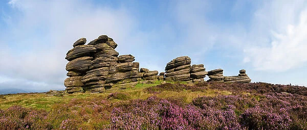 A millstone grit formation known as the Coach and Horses on Derwent Edge, with Heather (Calluna vulgaris) in bloom. Peak District National Park, Derbyshire, UK. September. Stitched panorama