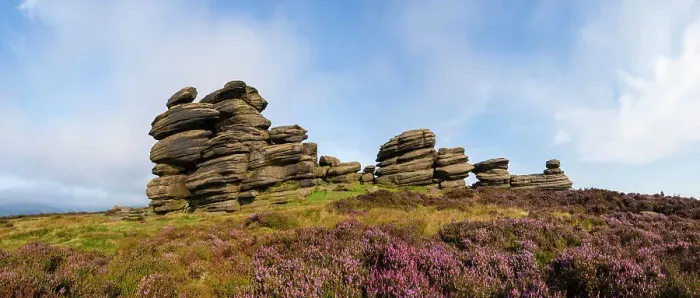Framed Print : A millstone grit formation known as the Coach and Horses on Derwent Edge, with Heather (Calluna vulgaris) in bloom. Peak District National Park, Derbyshire, UK. September. Stitched panorama Framed Print : A millstone grit formation known as the Coach and Horses on Derwent Edge, with Heather (Calluna vulgaris) in bloom. Peak District National Park, Derbyshire, UK. September. Stitched panorama