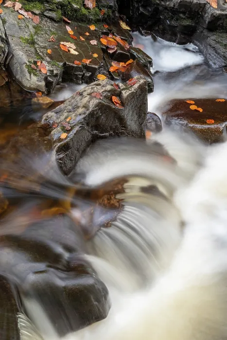 Framed Print : Minor falls on the Afon Nedd Fechan river in late autumn, Bannau Brycheiniog / Brecon Beacons National Park, Wales, UK. November, 2024 Framed Print : Minor falls on the Afon Nedd Fechan river in late autumn, Bannau Brycheiniog / Brecon Beacons National Park, Wales, UK. November, 2024