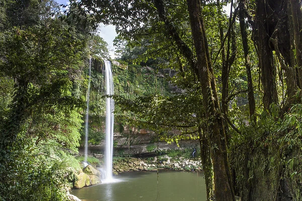 Misol-ha Waterfall, Ejido San Miguel, Salto de Agua Municipality, Chiapas. Mexico