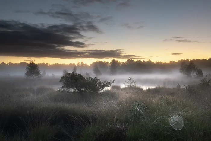 Framed Print : Mist over fens at dawn, Klein Schietveld, Brasschaat, Belgium. September, 2022 Framed Print : Mist over fens at dawn, Klein Schietveld, Brasschaat, Belgium. September, 2022