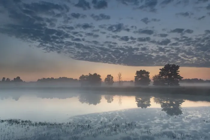 Framed Print : Misty lake at dawn, Klein Schietveld Nature Reserve, Brasschaat, Belgium. July, 2021 Framed Print : Misty lake at dawn, Klein Schietveld Nature Reserve, Brasschaat, Belgium. July, 2021