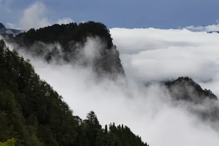 Framed Print : Misty mountains, Alishan National Recreational Forest, Taiwan Framed Print : Misty mountains, Alishan National Recreational Forest, Taiwan
