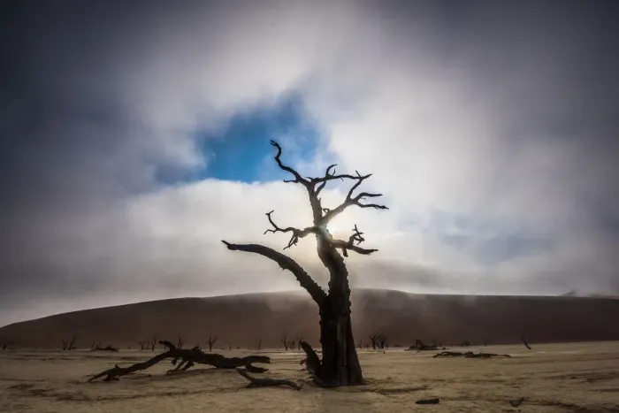 Framed Print : A misty sunrise over tree silhouette in Deadvlei, Namibia