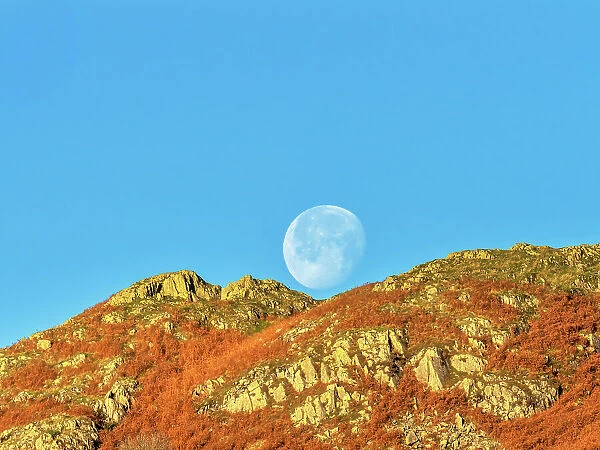 The moon setting over Todd Crag, Ambleside, Lake District, Cumbria, UK. November, 2021