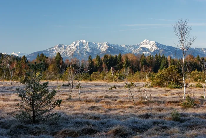 Framed Print : Moorland and forest with Herzogstand and Heimgarten mountains in background, Upper Bavaria, Germany, April, 2023 Framed Print : Moorland and forest with Herzogstand and Heimgarten mountains in background, Upper Bavaria, Germany, April, 2023