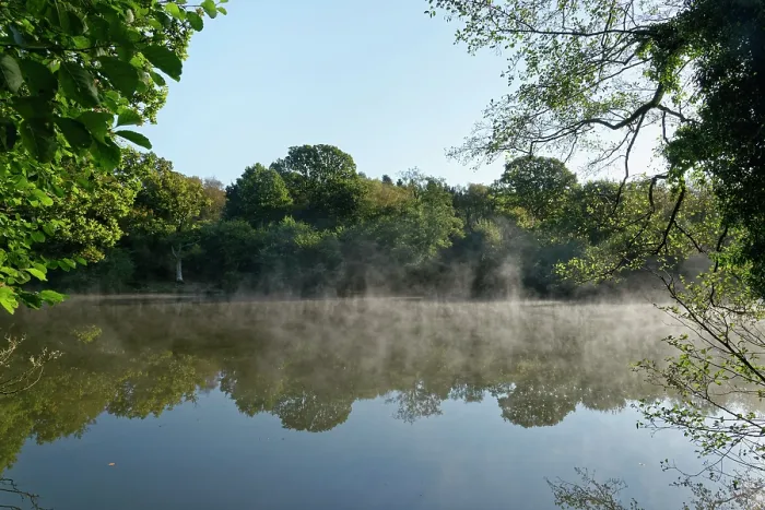 Framed Print : Morning mist rising from Cannop Ponds in early autumn, Forest of Dean, Gloucestershire, England, UK. October, 2024 Framed Print : Morning mist rising from Cannop Ponds in early autumn, Forest of Dean, Gloucestershire, England, UK. October, 2024