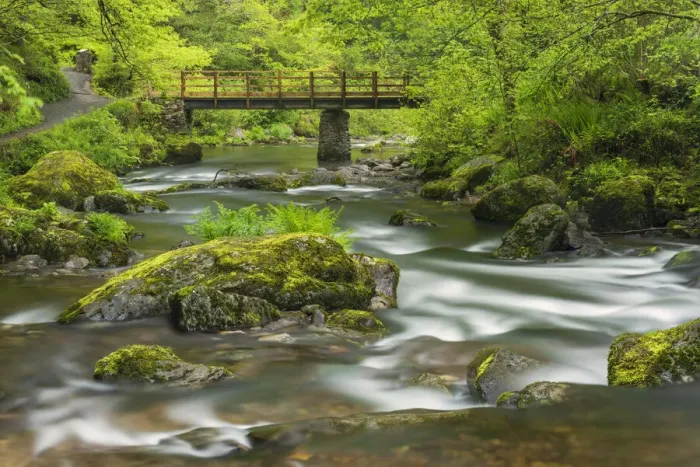 Framed Print : Mossy boulders and wooden bridge over East Lyn River. Exmoor National Park, Devon, UK. May Framed Print : Mossy boulders and wooden bridge over East Lyn River. Exmoor National Park, Devon, UK. May