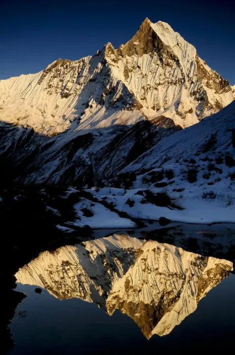 Framed Print : Mount Machapuchare( 6997m) at sunset. Annapurna Himal, Annapurna Sanctuary, central Nepal Framed Print : Mount Machapuchare( 6997m) at sunset. Annapurna Himal, Annapurna Sanctuary, central Nepal