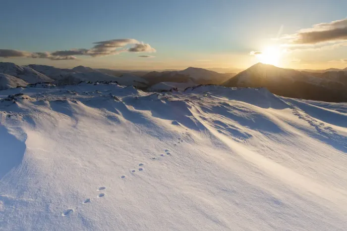 Framed Print : Mountain hare footprints in snow on mountain top in Glen Coe, Lochaber, Scotland, UK Framed Print : Mountain hare footprints in snow on mountain top in Glen Coe, Lochaber, Scotland, UK