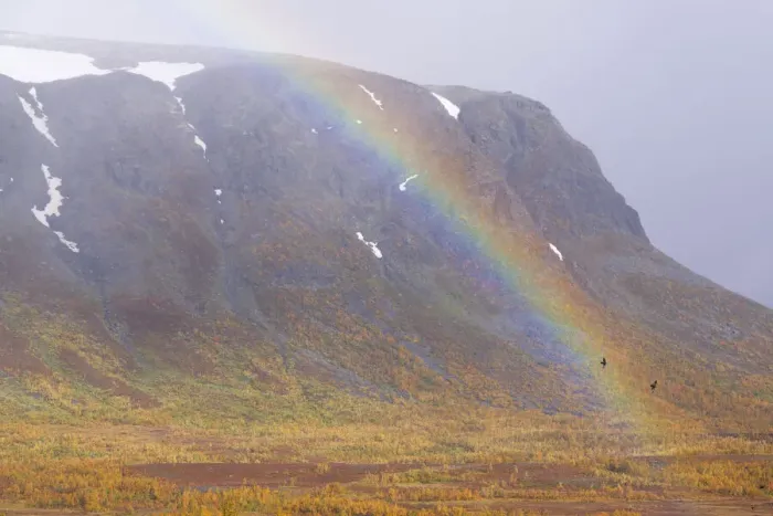 Framed Print : Mountain landscape and rainbow, Stora Sjoefallet National Park Framed Print : Mountain landscape and rainbow, Stora Sjoefallet National Park