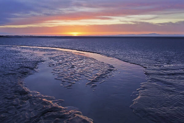 Mudflats at dawn, Sandyhills Bay, Solway Firth, Dumfries and Galloway, Scotland, UK, March