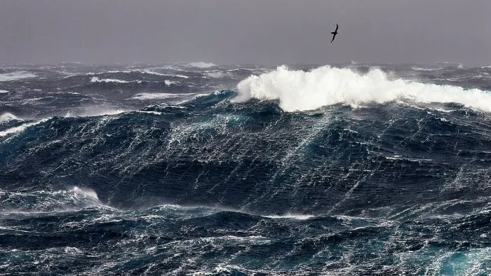 Framed Print : Northern giant petrel (Macronectes halli) in flight over heavy seas during force 10 storm in the roaring forties Framed Print : Northern giant petrel (Macronectes halli) in flight over heavy seas during force 10 storm in the roaring forties