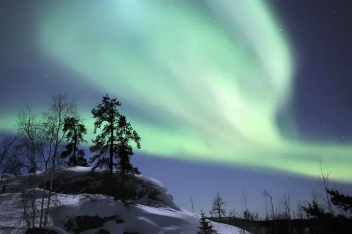 Framed Print : Northern lights (Aurora borealis) Northwest territories, March 2008, Canada Framed Print : Northern lights (Aurora borealis) Northwest territories, March 2008, Canada