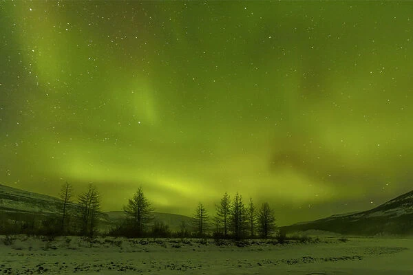 Northern lights over Putoransky State Nature Reserve, Putorana Plateau, Siberia, Russia