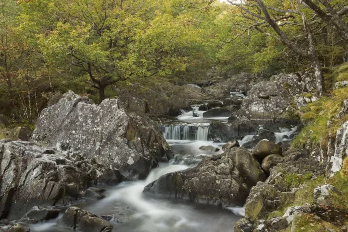 Framed Print : Oak woodland with mosses and running water, near Dolgellau, Snowdonia, North Wales Framed Print : Oak woodland with mosses and running water, near Dolgellau, Snowdonia, North Wales